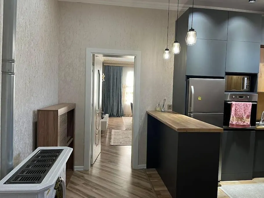 House Near Baku Airport And Bos Διαμέρισμα